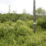 Land for sale in Eastern Townships (lot 1463-31)