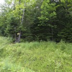 Land for sale in Eastern Townships (Lot 2253)