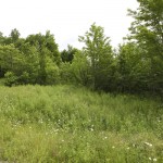 Land for sale in Eastern Townships (lot 2363)