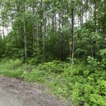 Land for sale in Eastern Townships (lot 2622)